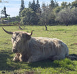 Tour the Farm