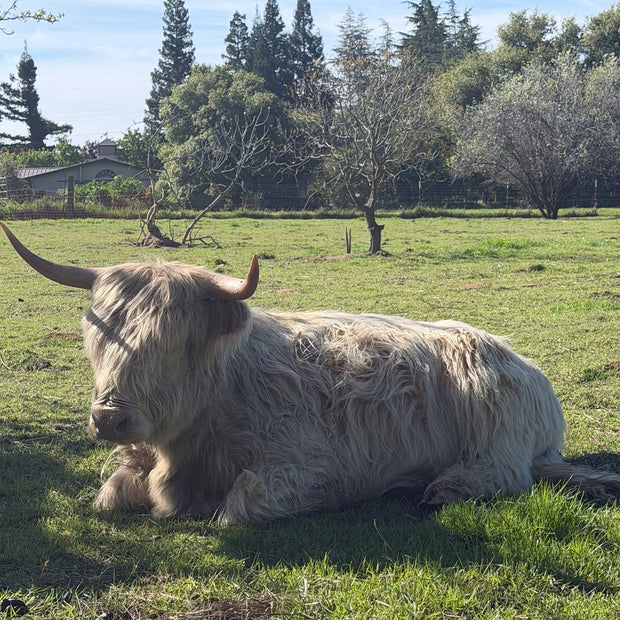 Tour the Farm