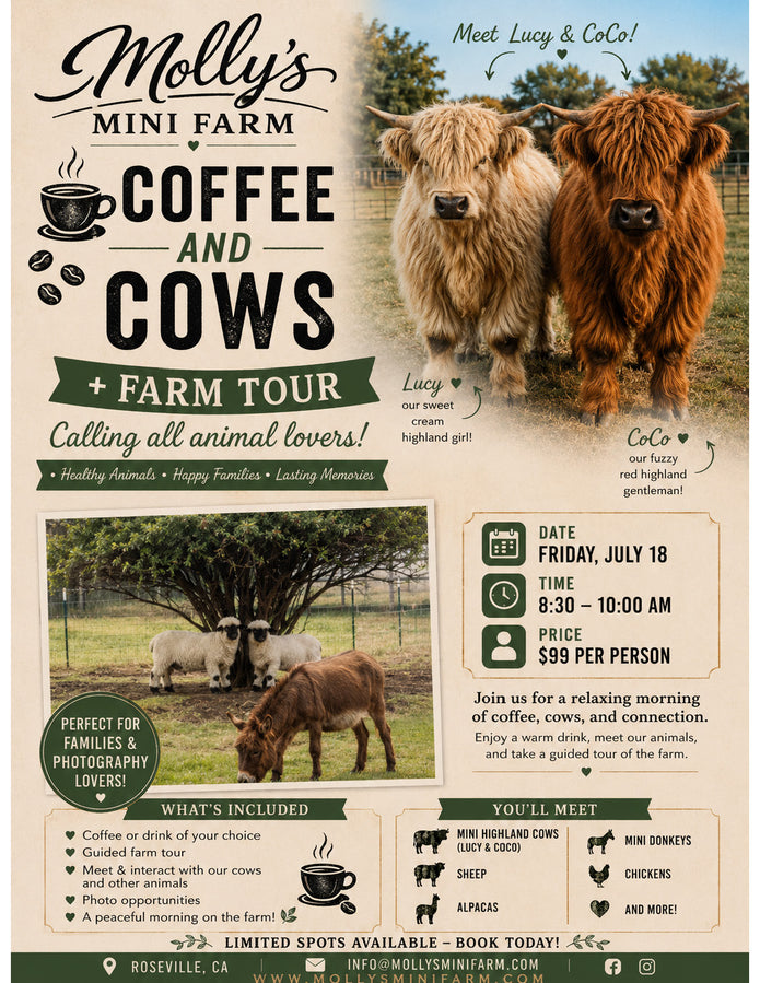 Coffee & Cows