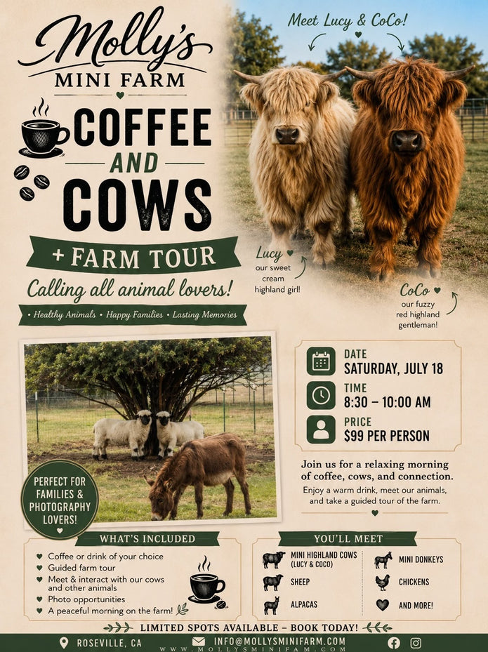 Coffee & Cows
