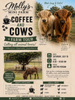 Coffee & Cows