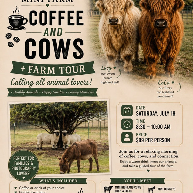 Coffee & Cows
