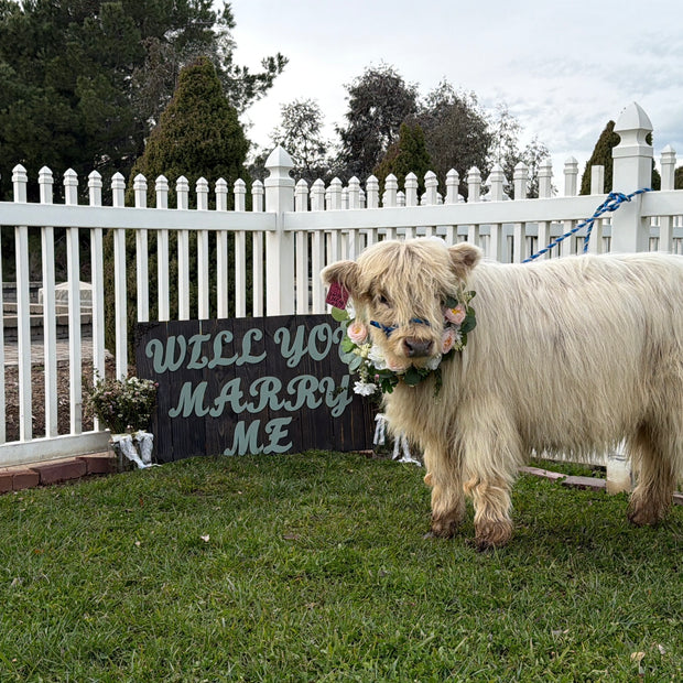 Proposal at the Farm